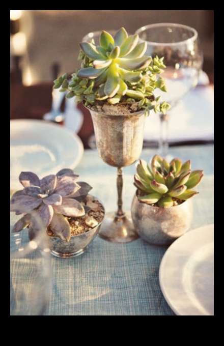 האם אתה יכול להציע דרכים יצירתיות להשתמש בסוקולנטים בעיצוב מינימליסטי?