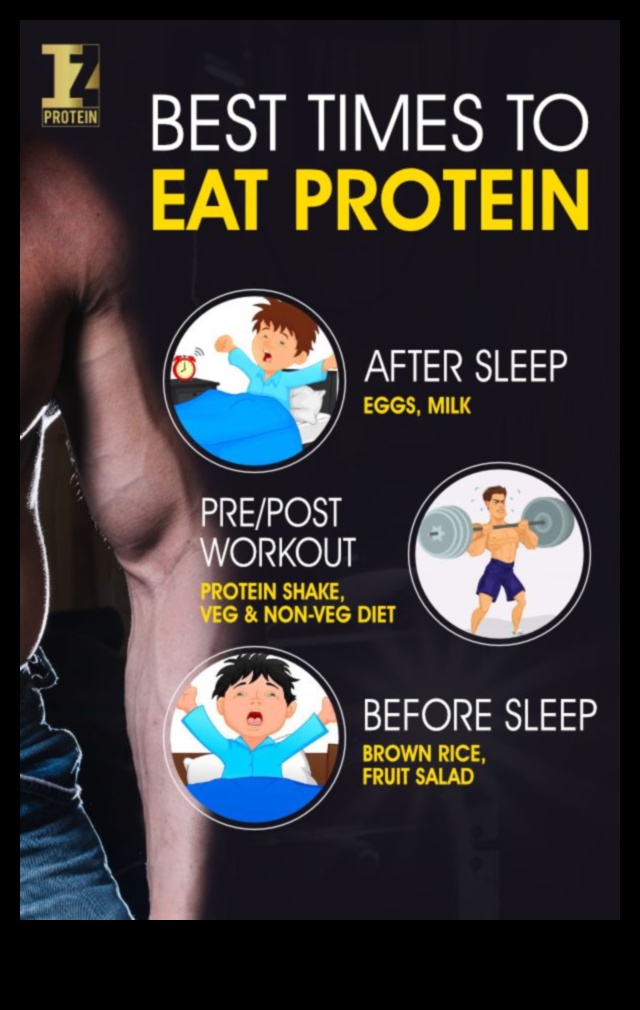 התפקיד של תזמון חלבון בתזונה עתירת חלבונים