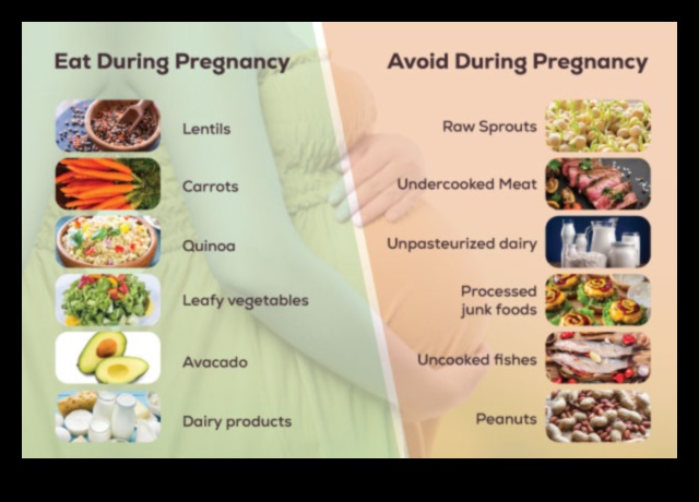 הכנת ארוחות עתירות חלבון להריון צמחוני