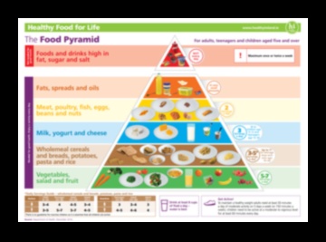פירוק המרכיבים של דיאטת אורח חיים מוצלחת