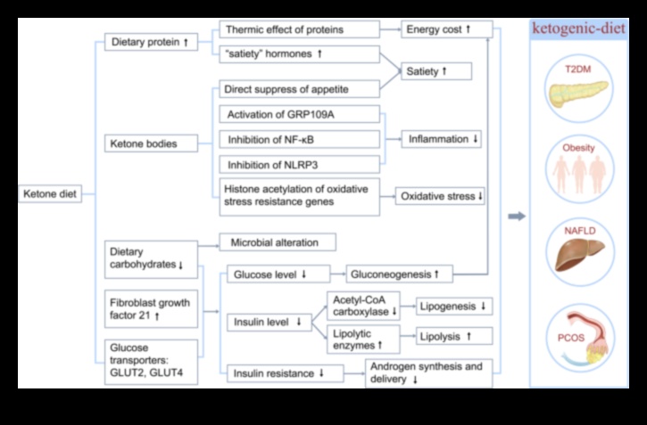 תפקידם של קטונים בניהול מצבים כרוניים
