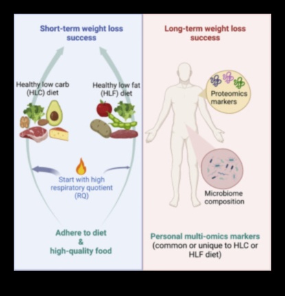 דיאטות לטווח קצר וחוסר איזון תזונתי: למה כדאי לשים לב