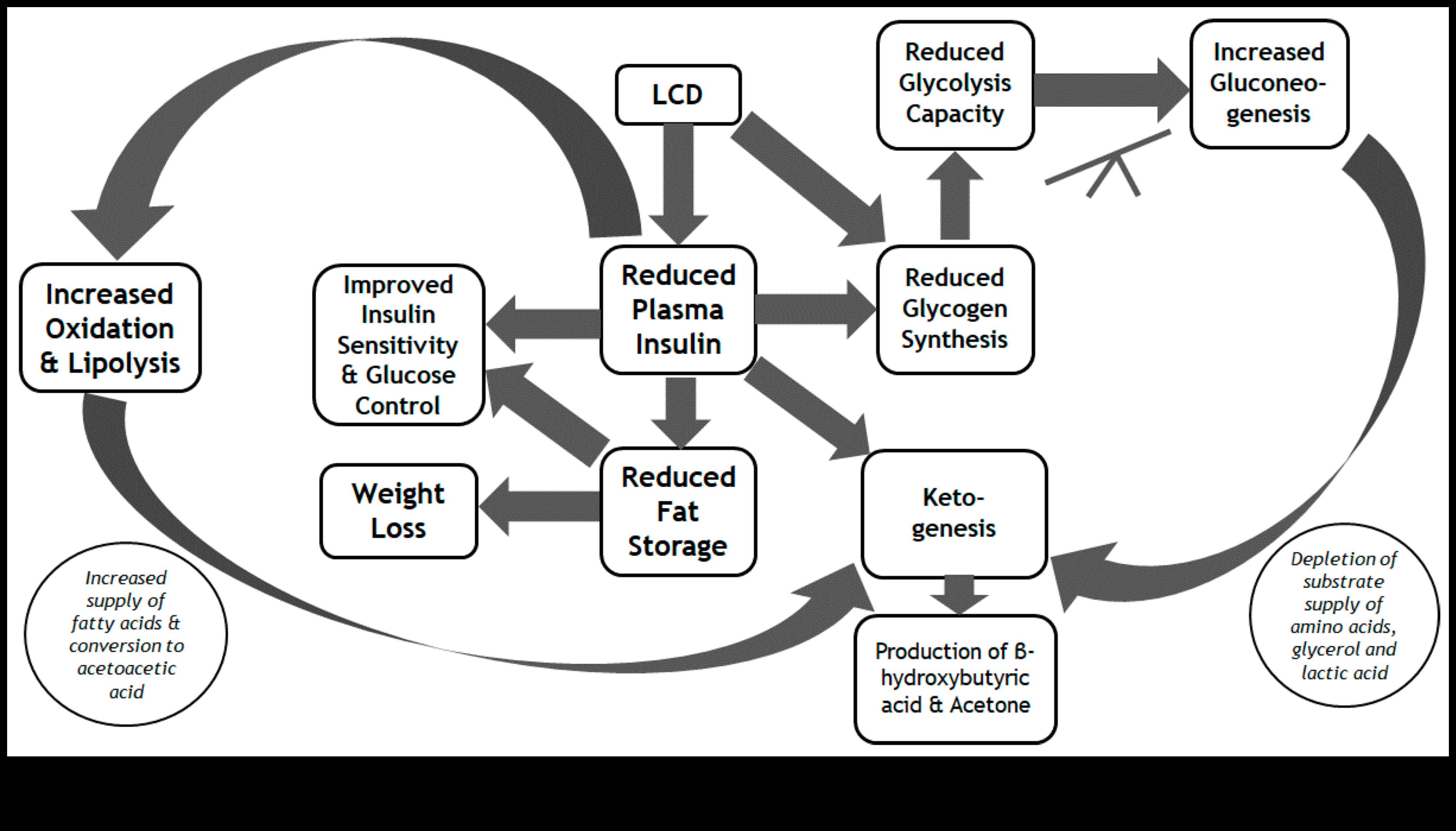 דיאטות לטווח קצר וחוסר איזון תזונתי: למה כדאי לשים לב