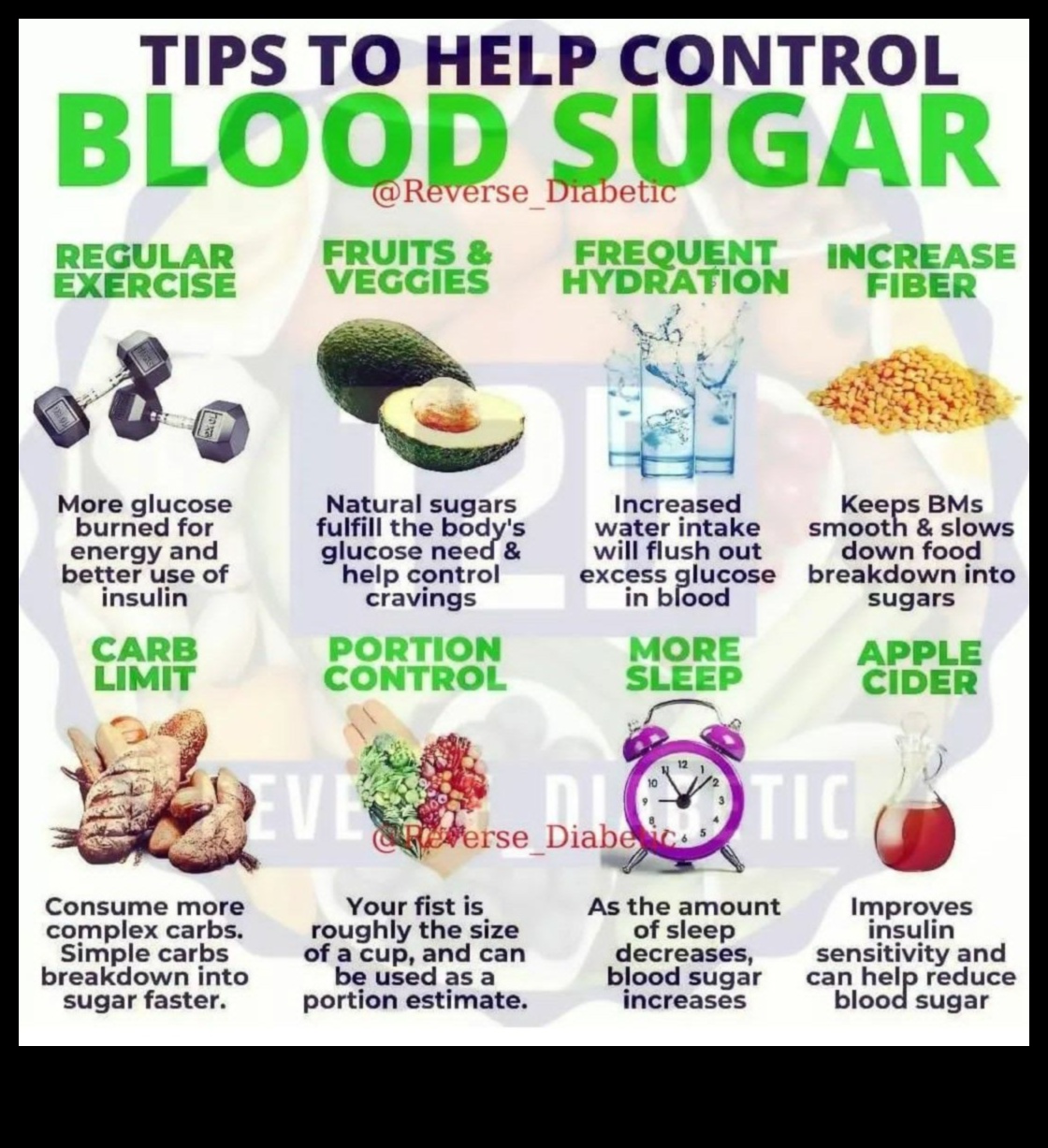 דיאטות דלות פחמימות ויציבות סוכר בדם: גישה הוליסטית