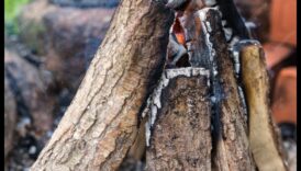 מהם כמה טיפים לקישוט אזור פיקניק חיצוני עם נגיעות וינטג'?