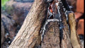 מהם כמה טיפים לקישוט אזור פיקניק חיצוני עם נגיעות וינטג'?