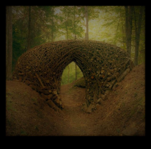 אמנות אקולוגית: תודעה סביבתית במודרניזם