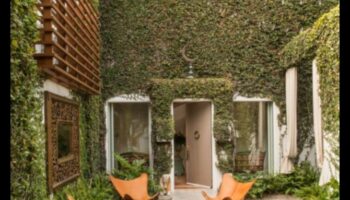 מהם כמה רעיונות אקלקטי לעיצוב פטיו חיצוני עם פופ של צבע?