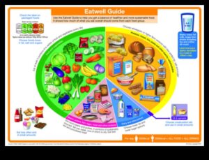 פירוק המרכיבים של דיאטת אורח חיים מוצלחת