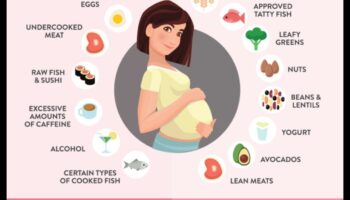 הכנת ארוחות עתירות חלבון להריון צמחוני