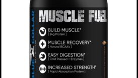 תפקיד החלבון בהחלמה לאחר אימון: מה שאתה צריך לדעת