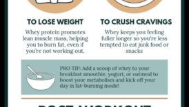 התפקיד של תזמון חלבון בתזונה עתירת חלבונים