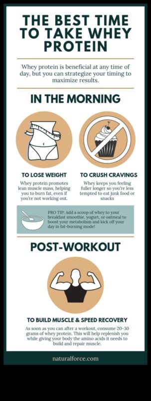 התפקיד של תזמון חלבון בתזונה עתירת חלבונים