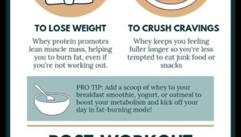 התפקיד של תזמון חלבון בתזונה עתירת חלבונים