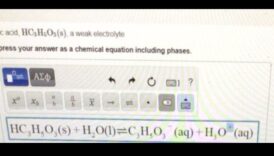 אסטרטגיות חלבון והידרציה: איזון אלקטרוליטים