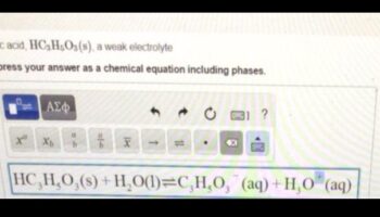 אסטרטגיות חלבון והידרציה: איזון אלקטרוליטים