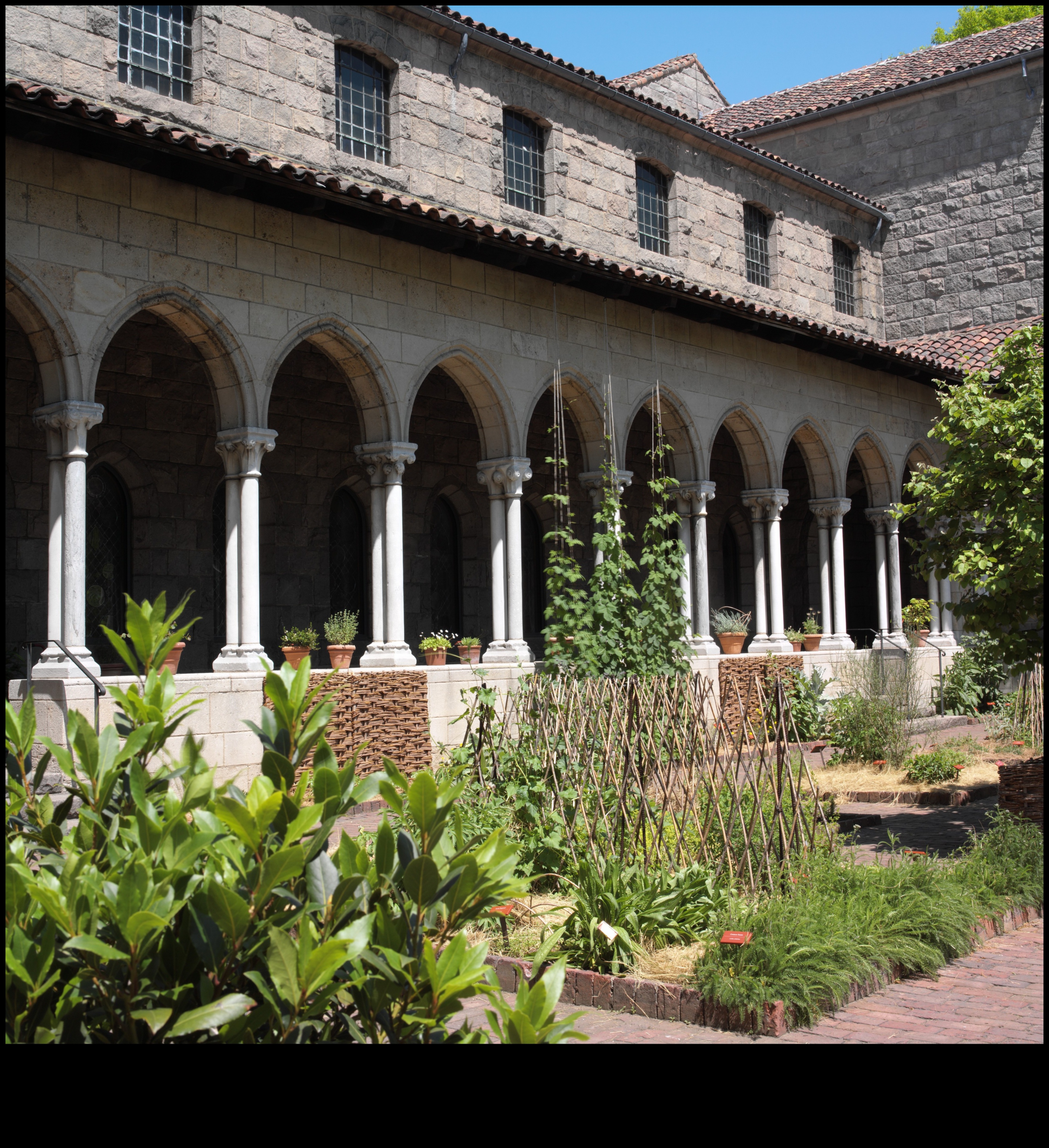 ארקידות אמנותיות: חקר יופי אדריכלי בקלויסטרים מתקופת הרנסנס