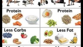 המדע מאחורי דיאטות דלות שומן וניהול משקל