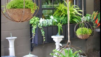 האם אתה יכול להציע רעיונות לעיצוב גינה חיצונית של בוהו שיק עם אדניות תלויות?