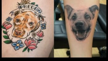 פרווה חברים: כרוניקות שנחשפו בהרפתקאות קעקוע חיות בר