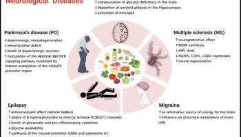 תפקידם של קטונים בניהול מצבים כרוניים