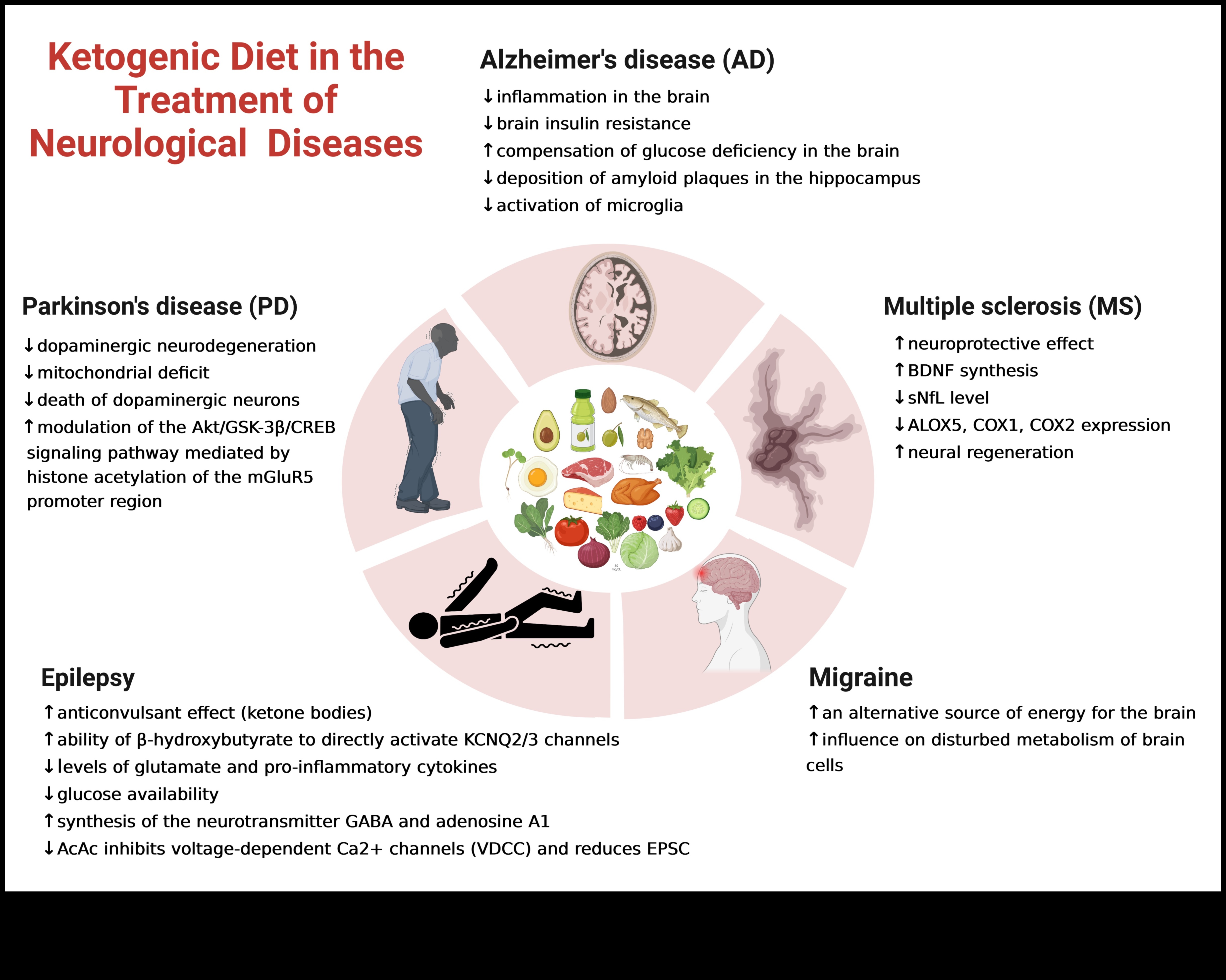 תפקידם של קטונים בניהול מצבים כרוניים