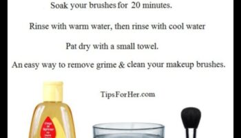 שמפו מברשת עשה זאת בעצמך: תמיסת ניקוי משלך בבית